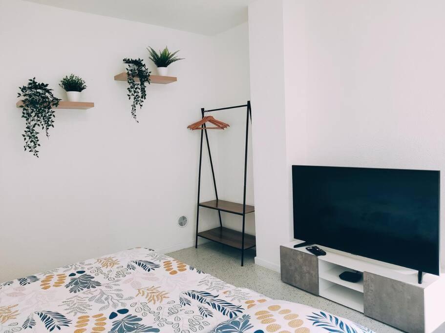 Magnifique Appartement T3 50 M2 Obernai Exterior foto